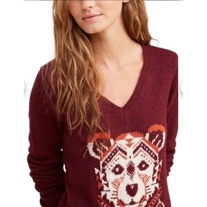 Hollister Mountain Lion Native Aztec Sweater